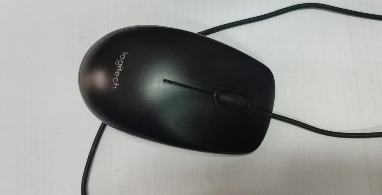 MOUSE